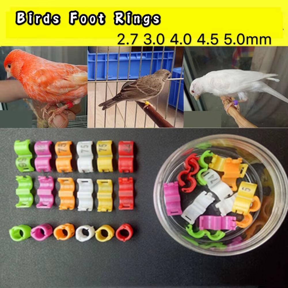 60 Pcs Inner 2.7/ 3/4/4.5/5Mm Canary Clip Ring Bird Pigeon Parrot Leg Rings Small Birds Foot Rings Mix Color Bird Ring