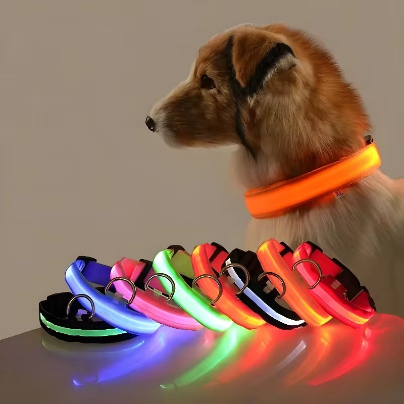 Dog Collar Nylon LED Night Safety Flashing Glow in the Dark Pet Dog Leash Pet Dogs Luminous Fluorescent Dog Accessories Collar