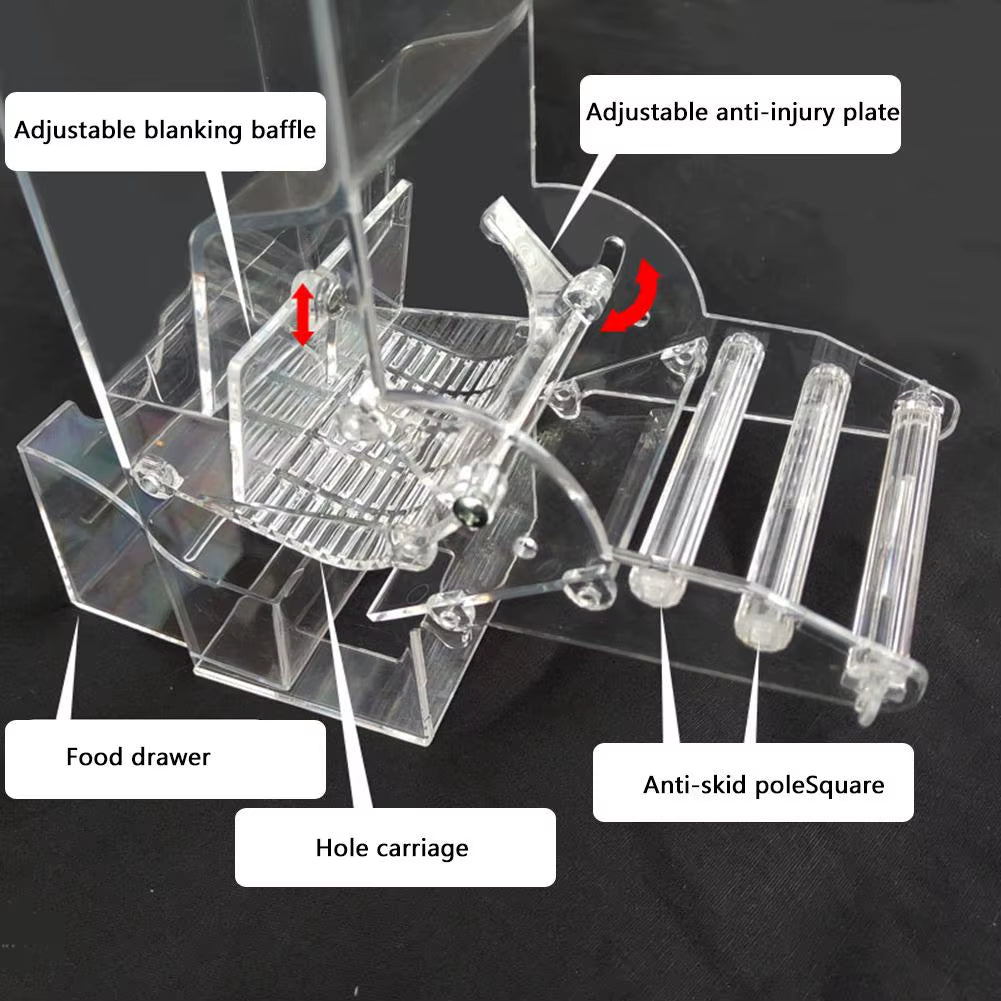 Automatic Bird Feeder Acrylic Parrot Seed Food Container Bird Cage Accessories for Parakeet Canary Cockatiel Bird Feeding Device